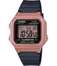W-217HM-5AVEF Classic
