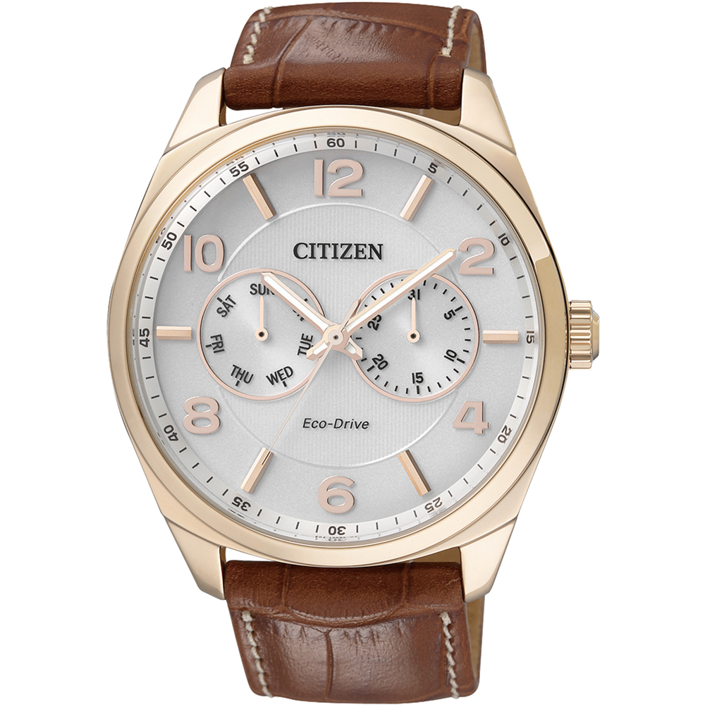 Relógio Citizen Elegance AO9024-16A