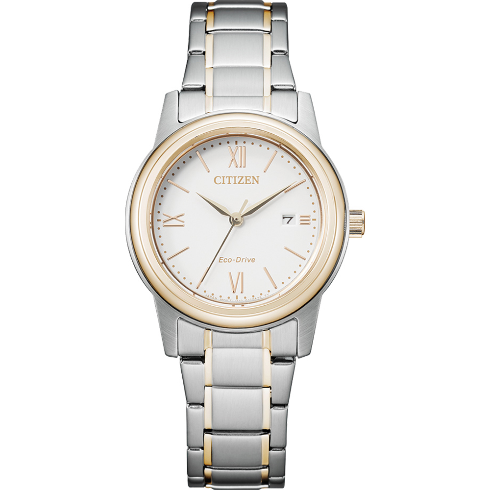 Citizen Core Collection FE1226-82A relógio