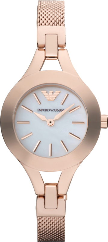 Emporio Armani Watch Time 2 Hands AR7329 AR7329