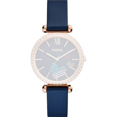 Bracelete Fossil ABQ3855 BQ3855 Tillie