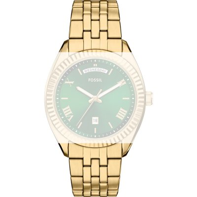 Bracelete Fossil AFS6142 Campbell