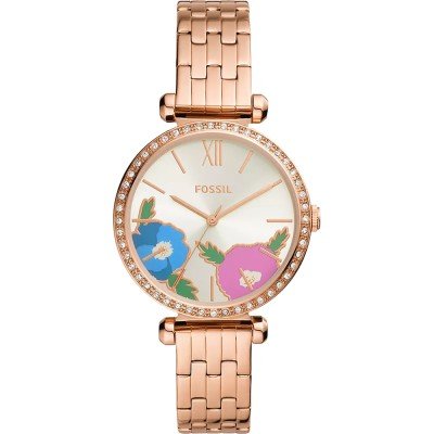 Relógio Fossil BQ3878 Tillie