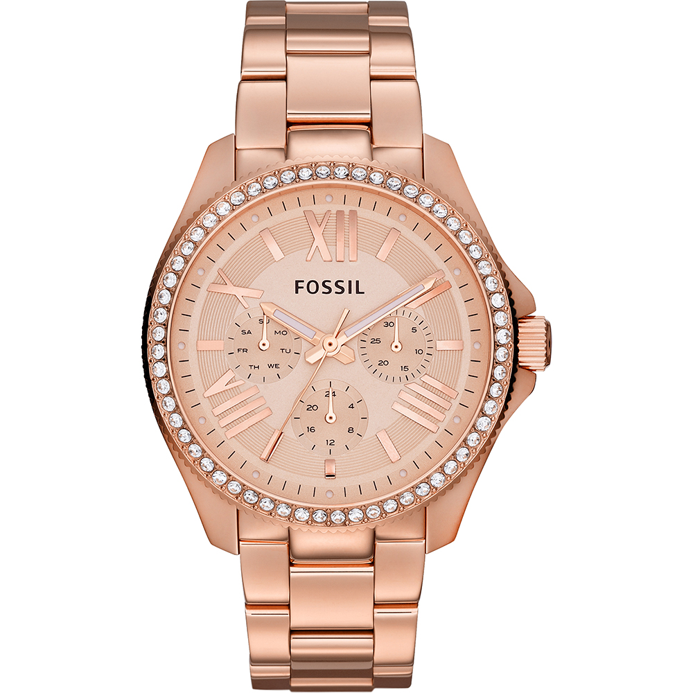 Fossil Watch Time 3 hands Cecile AM4483