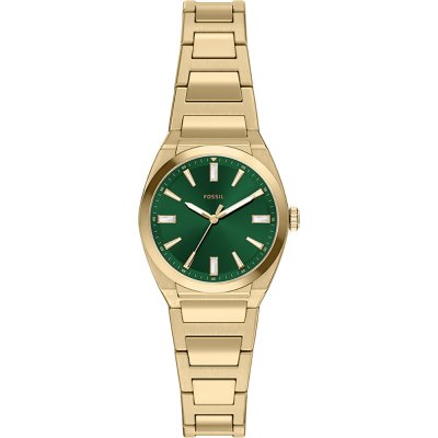 Relógio Fossil ES5493 Everett