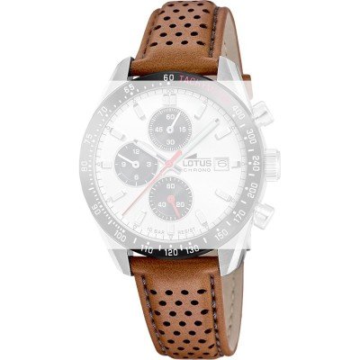 Bracelete Lotus BC11876 Archive