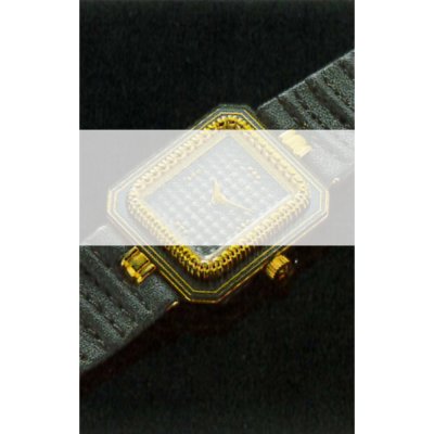 Bracelete Rado straps 07.08369 Daily Wear